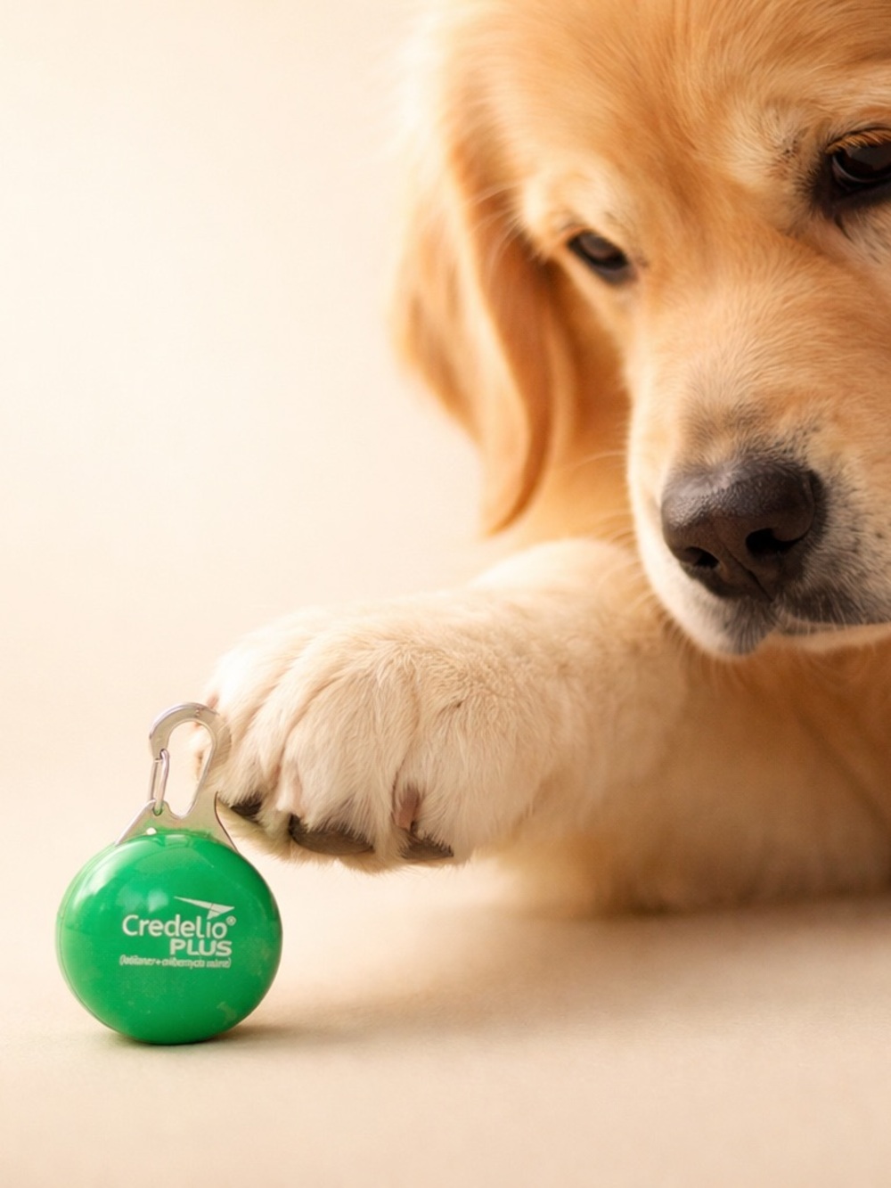 Credelio Plus Green Clip-On Collar Light